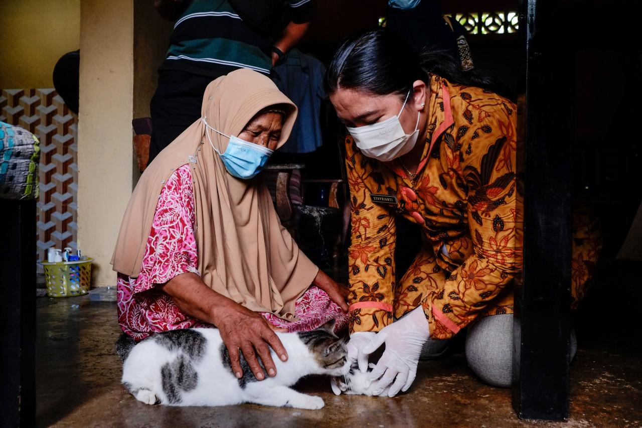 Memiliki Dua Wajah,...