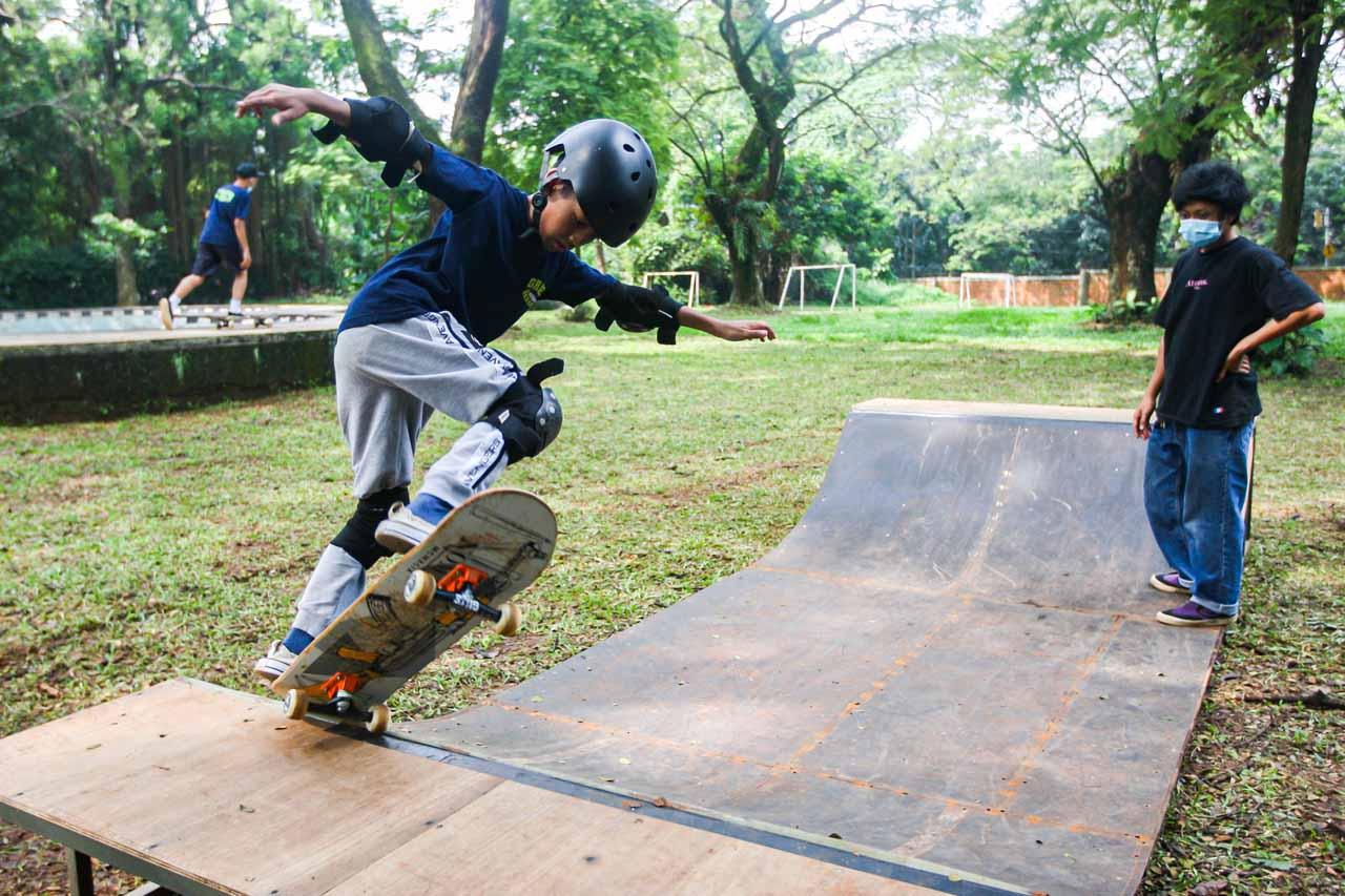 Green Skate Lesson,...