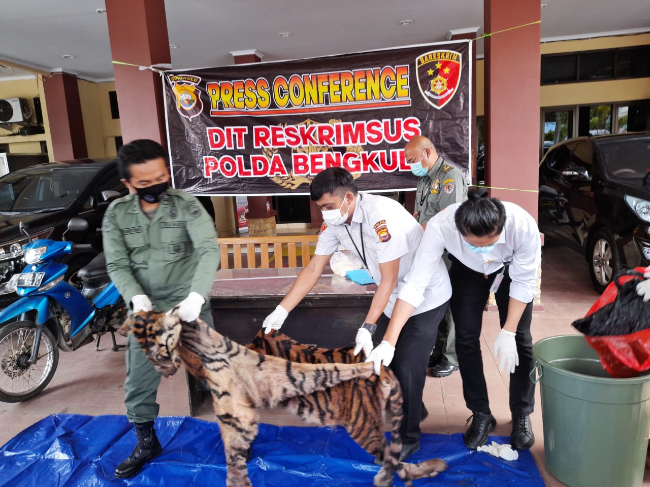 Miris, Kulit dan Tulang...