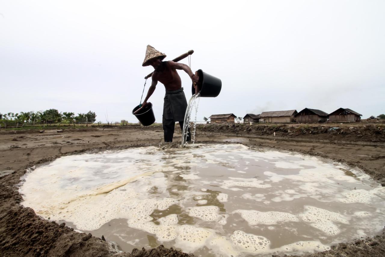 Harga Garam Petani tradisional...