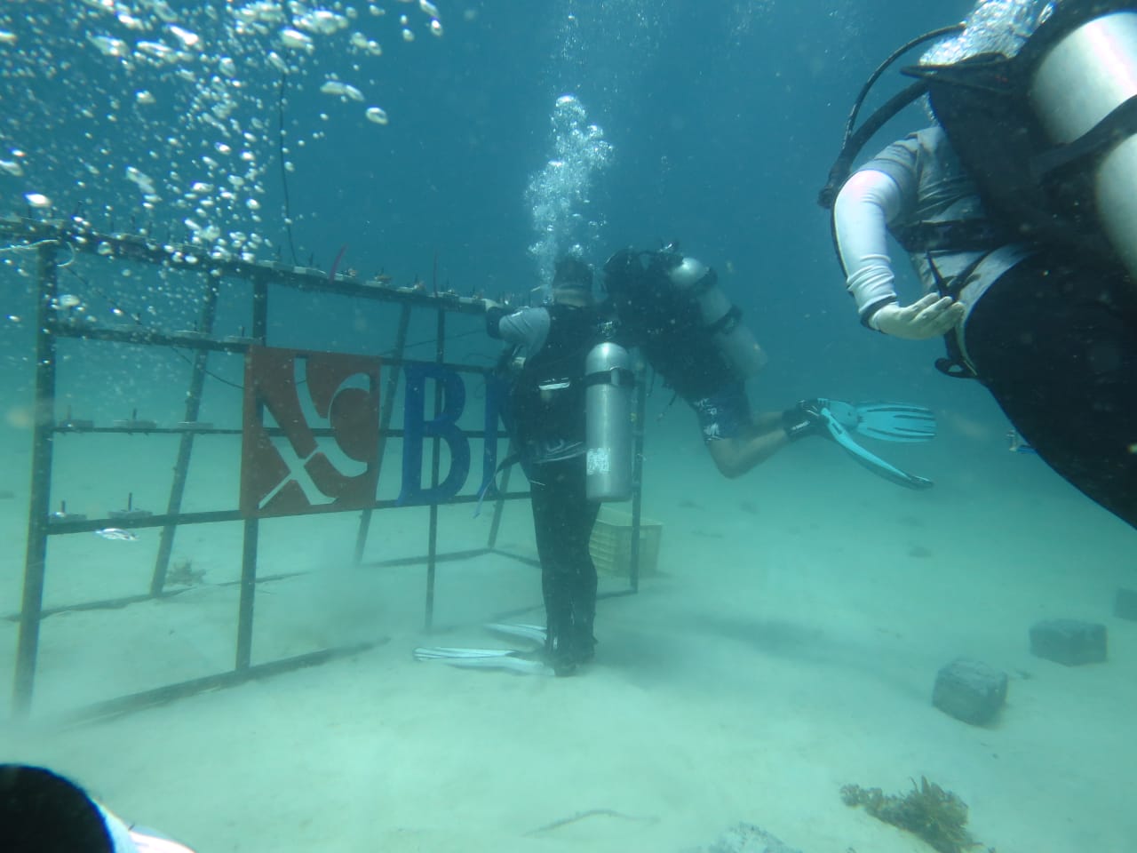 Rayakan HUT BNI ke-75,...