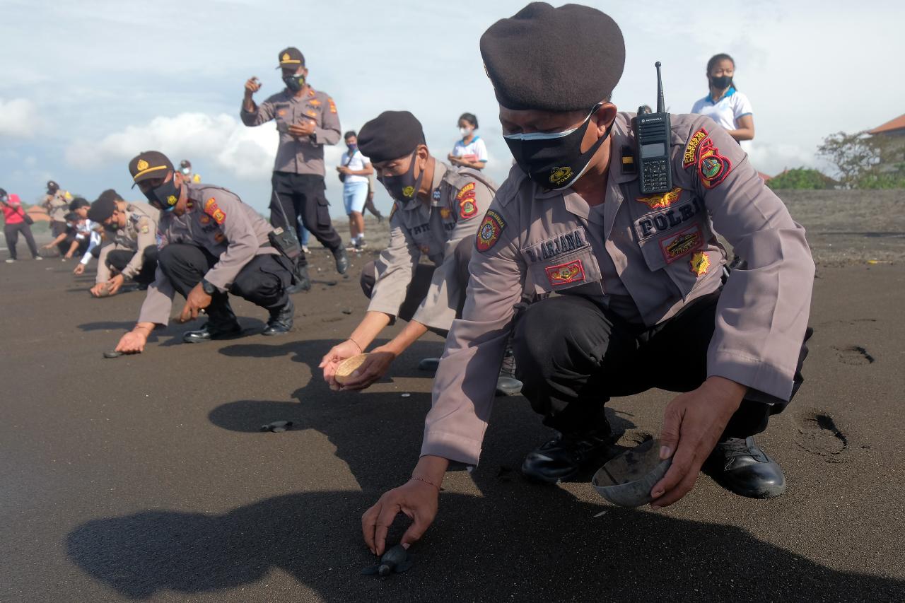 Penanaman Pohon Memperingati...