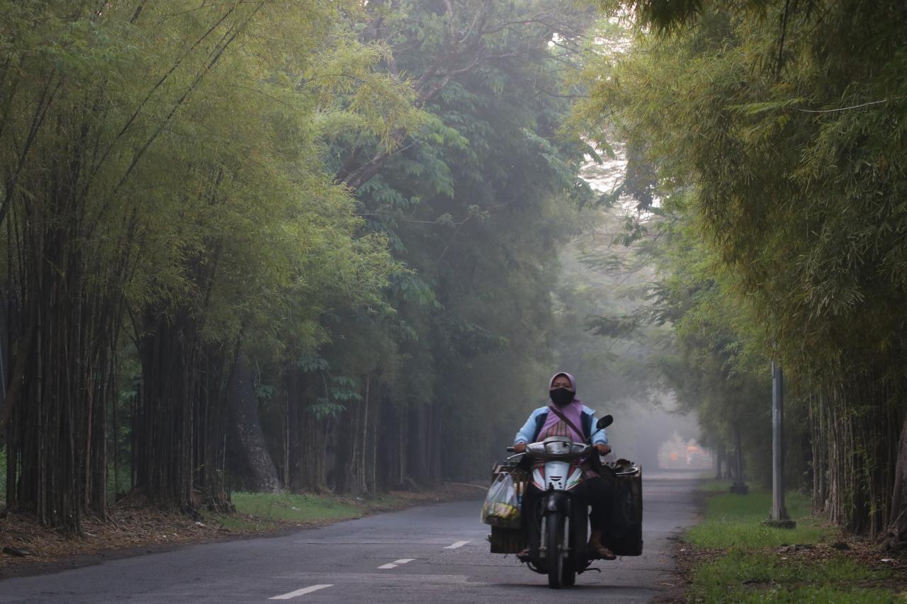 Penutupan Kembali Taman...