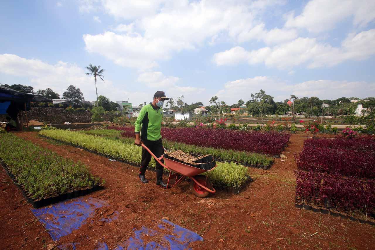 Kebun Bibit Casamora...