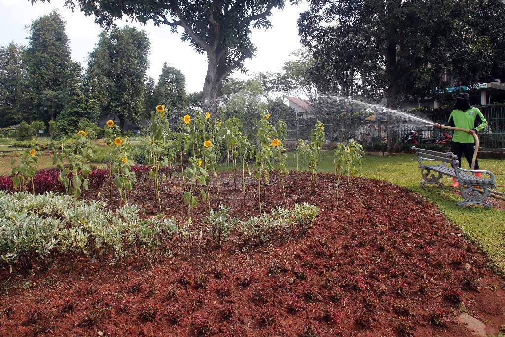 Kebun Bibit Casamora...