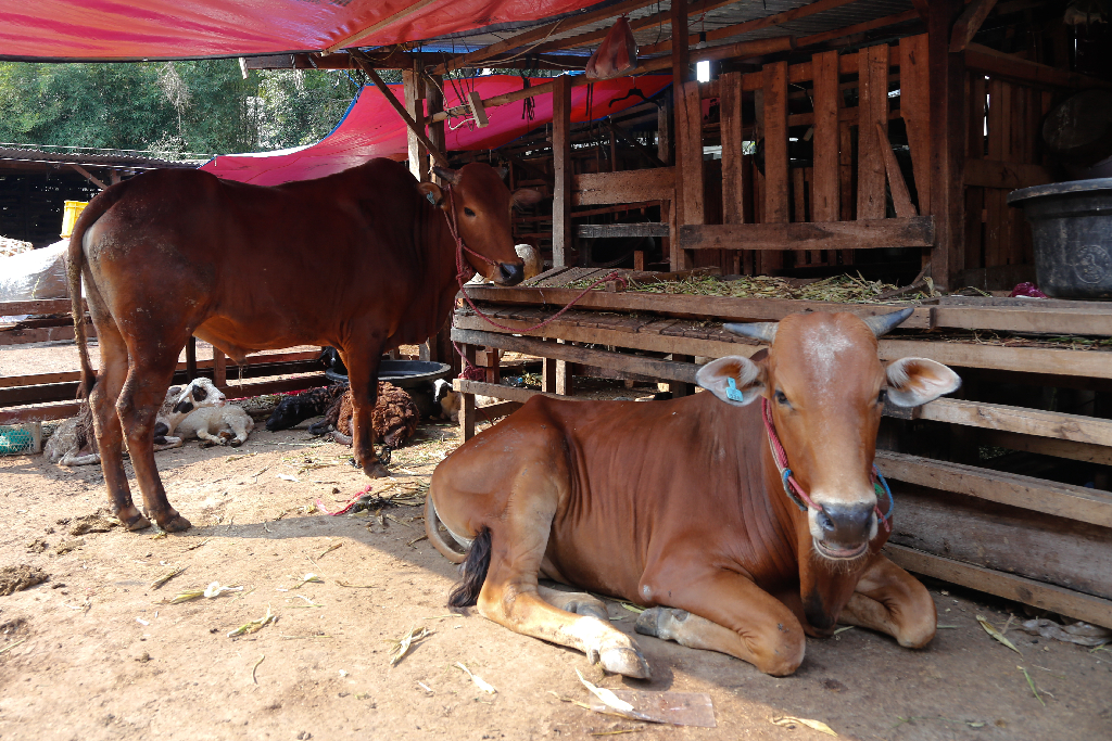 Dampak PPKM Darurat,...