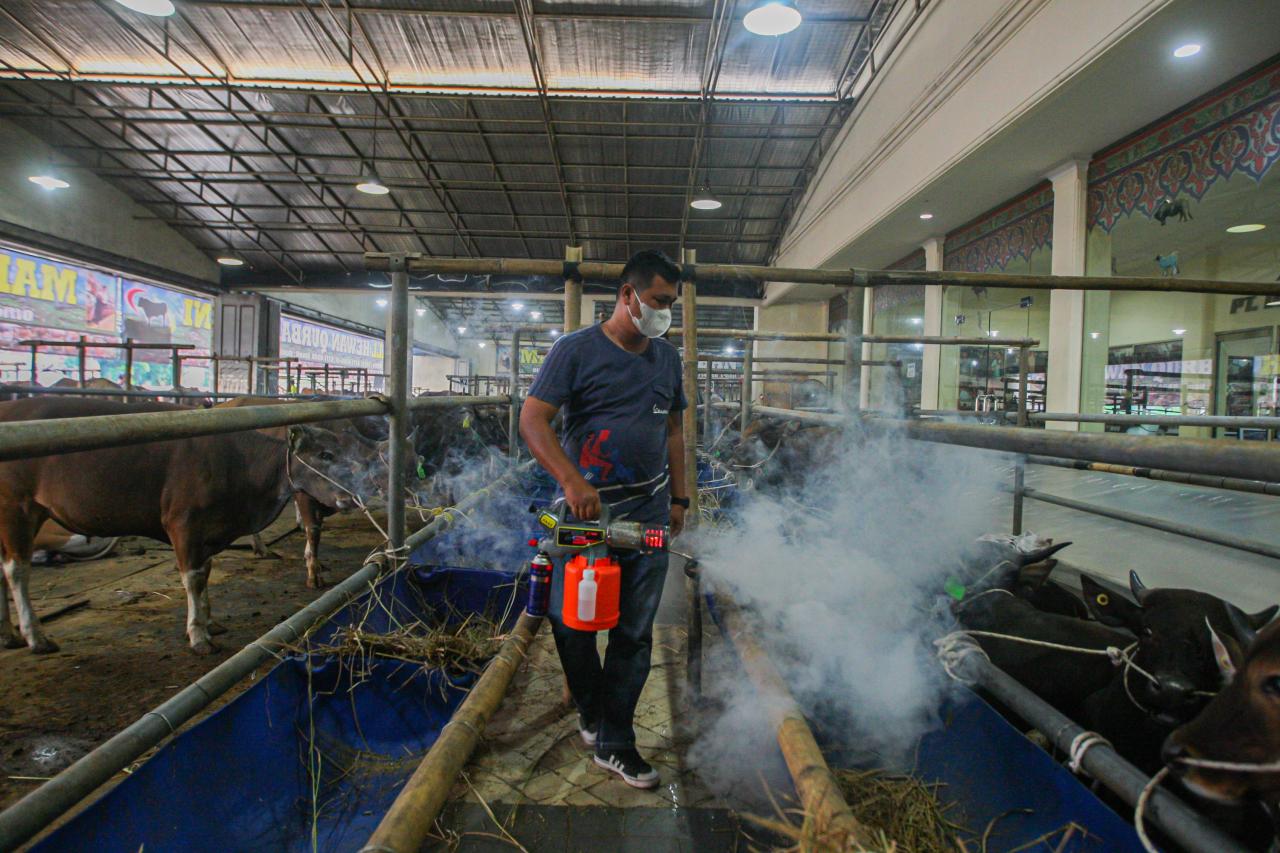 Terdampak PPKM Darurat,...
