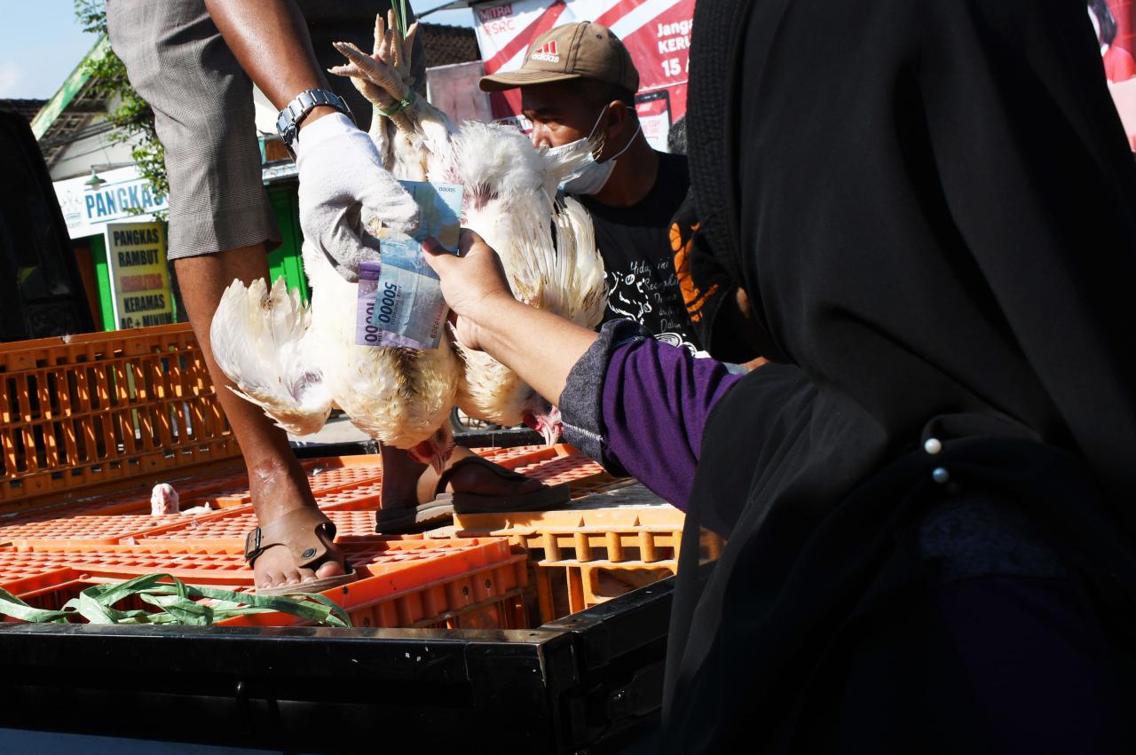 Terdampak PPKM Darurat,...