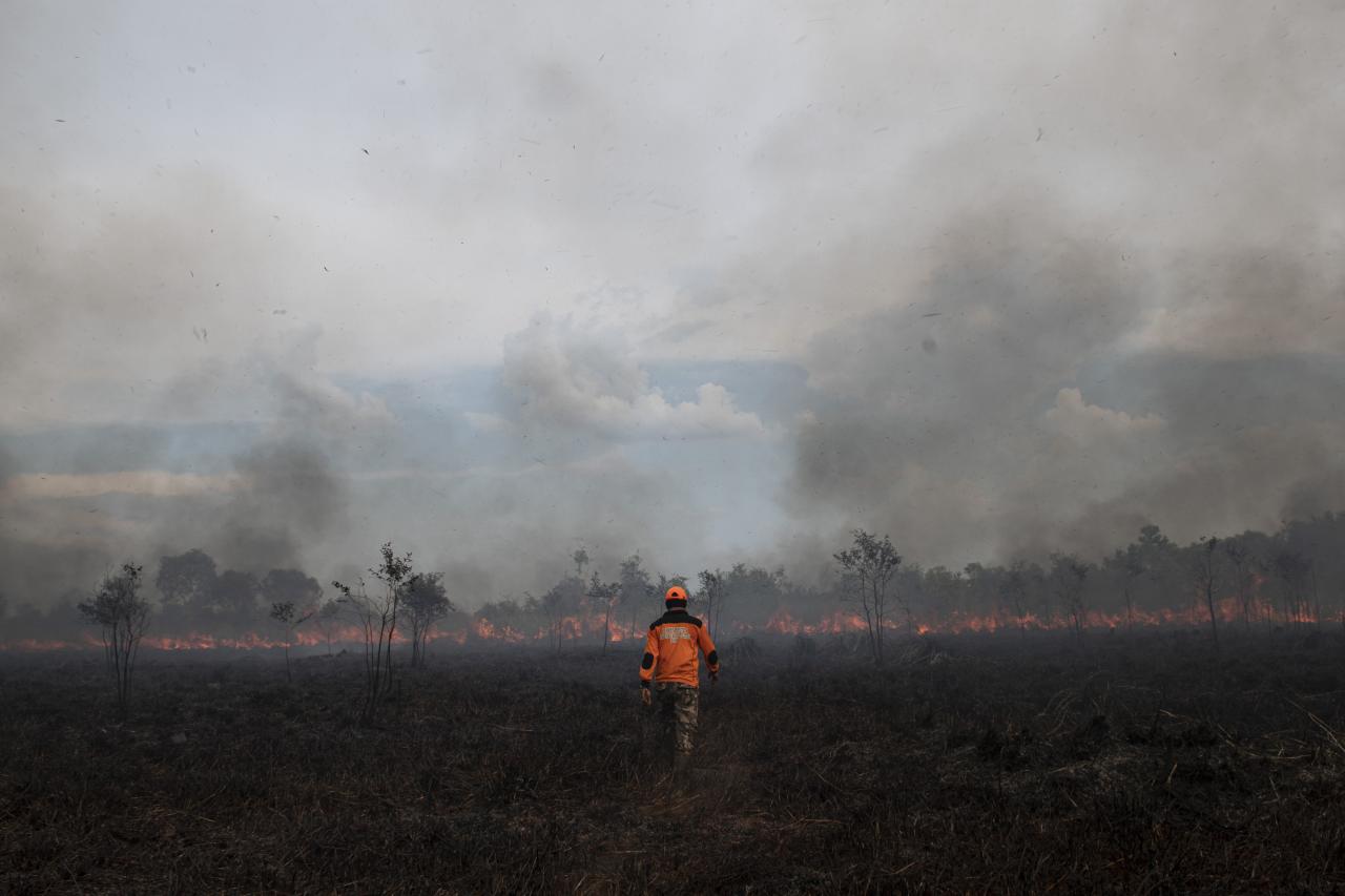 Kebakaran Lahan di Ogan...