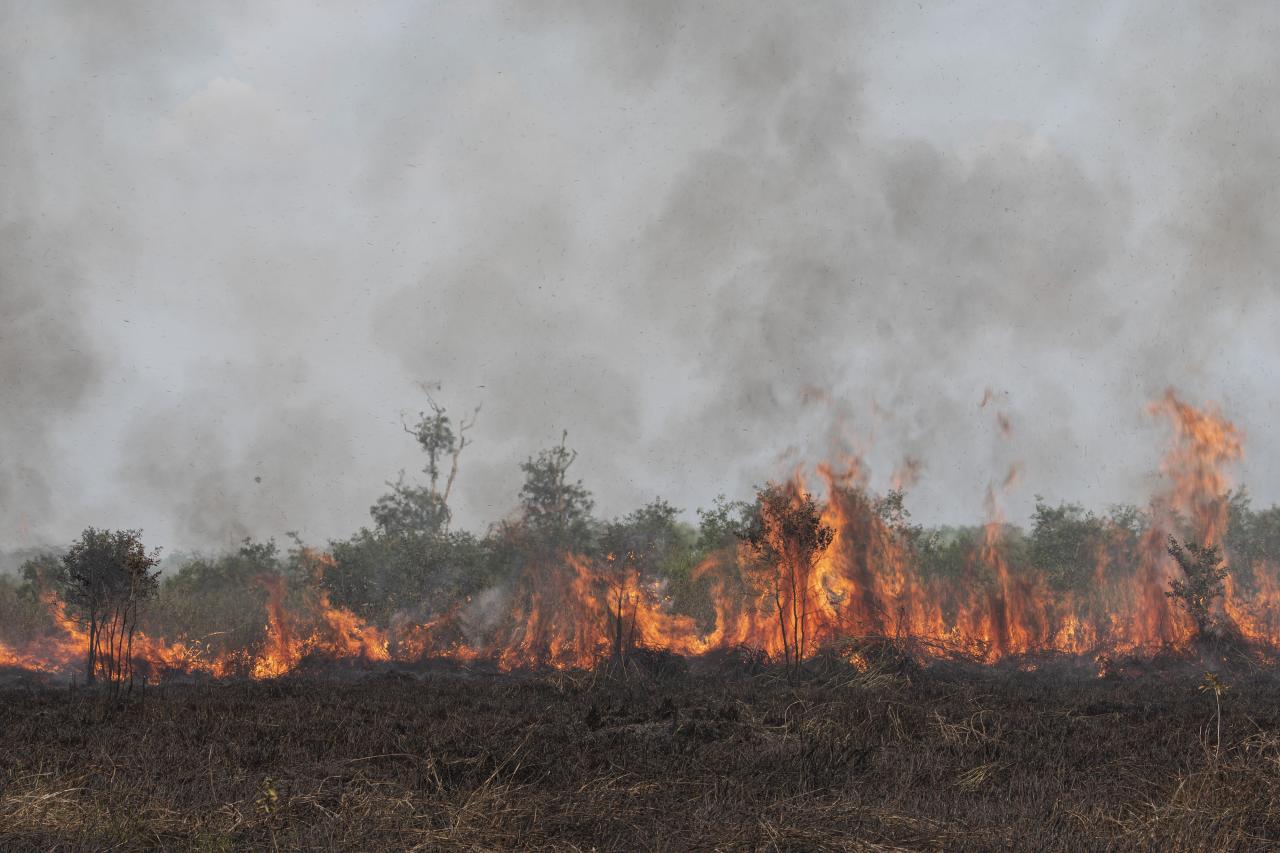 Kebakaran Lahan di Ogan...