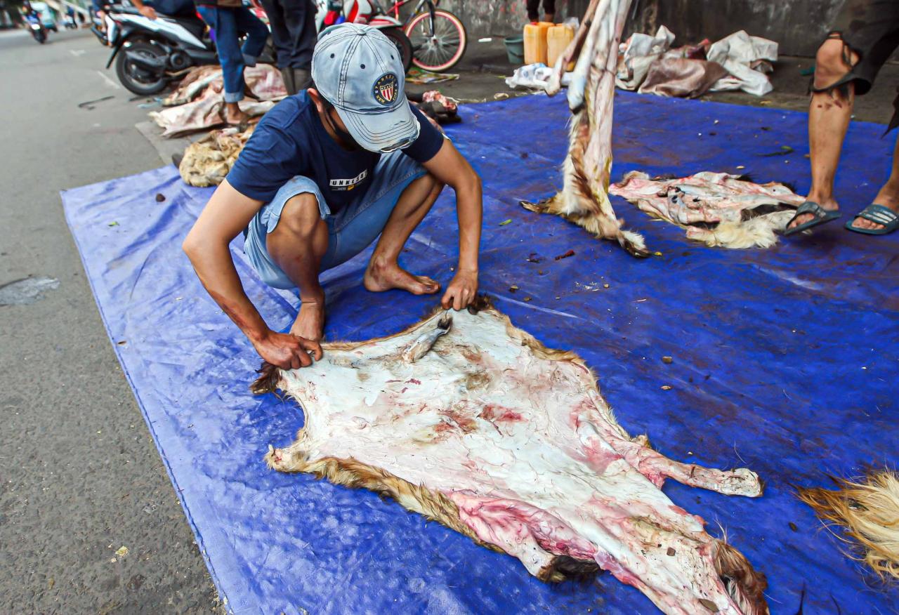 Berkah Idul Adha, Pengepul...