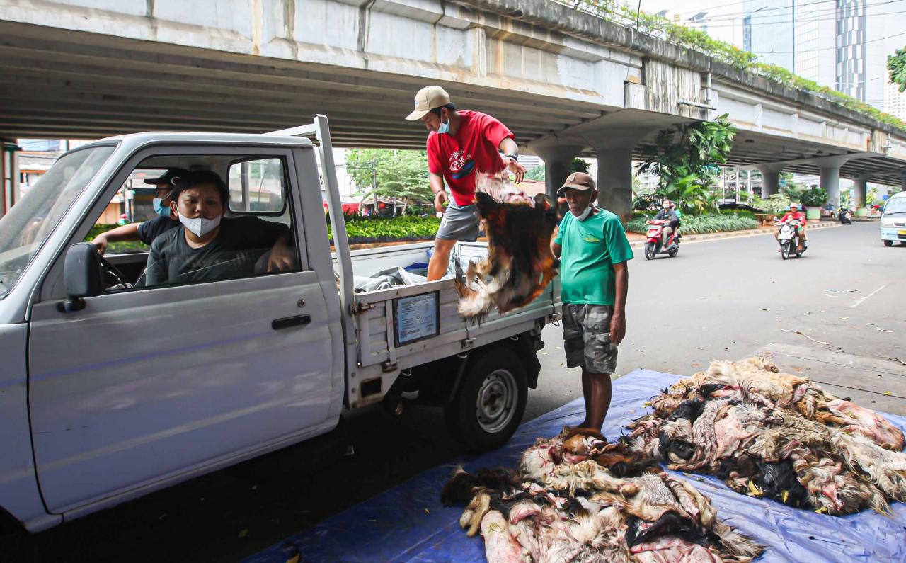 Berkah Idul Adha, Pengepul...