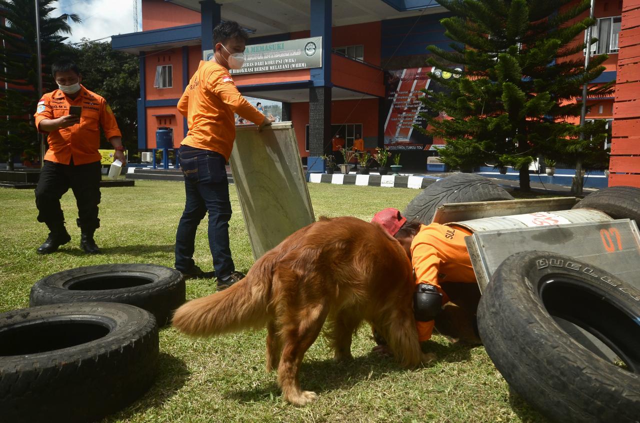 Pelatihan Anjing SAR...
