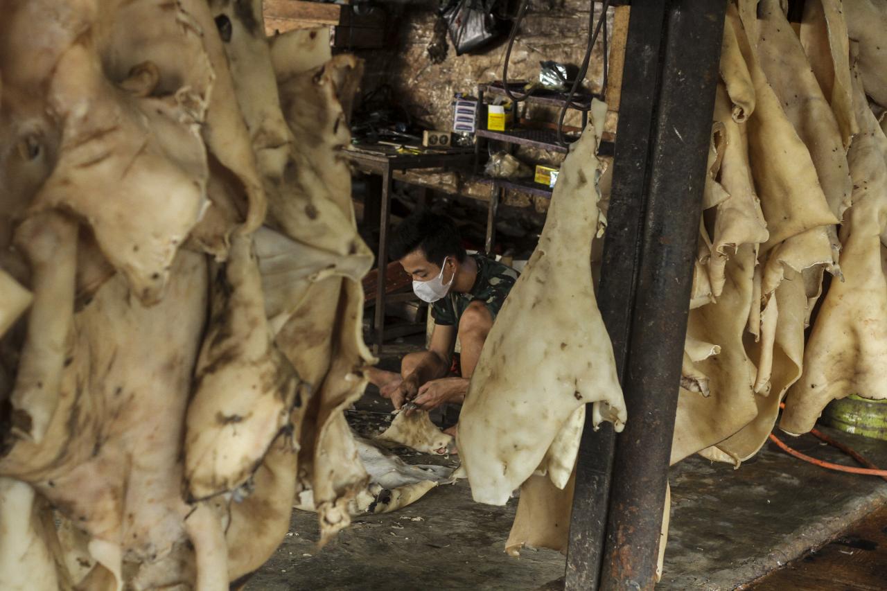 Produksi Kerupuk Kulit...
