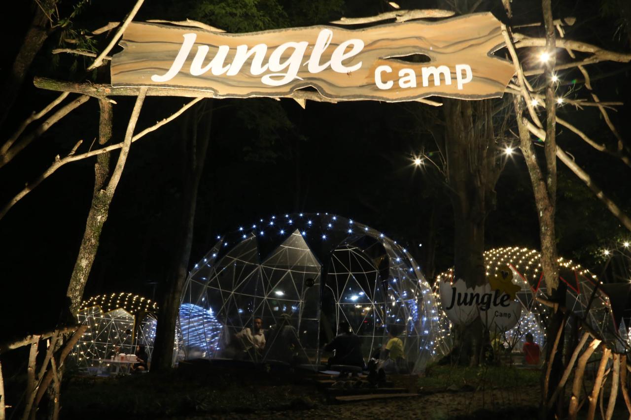 Jungle Camp, Cafe Berkonsep...