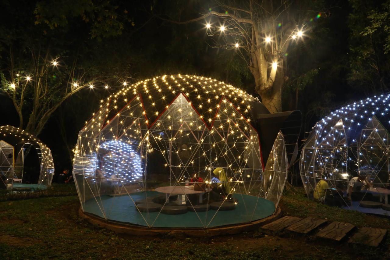 Jungle Camp, Cafe Berkonsep...