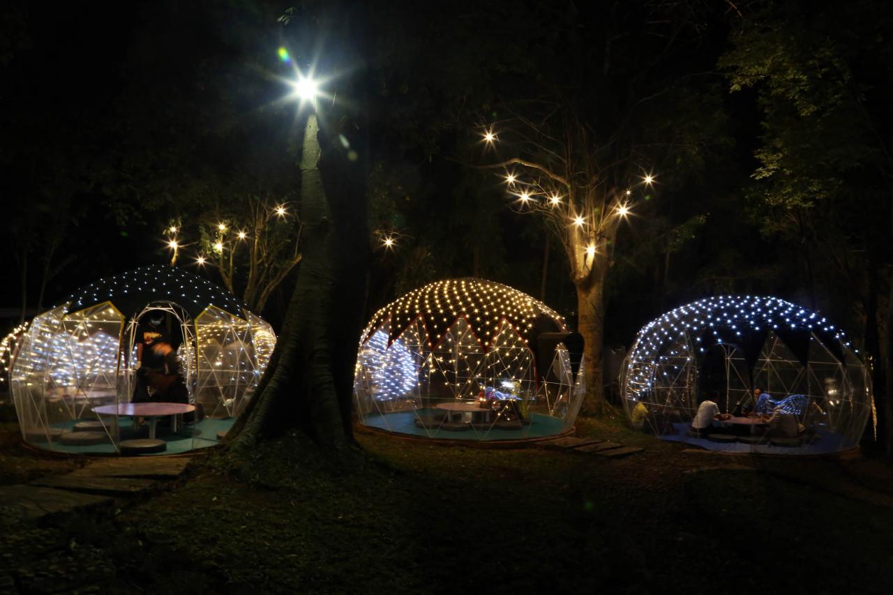 Jungle Camp, Cafe Berkonsep...