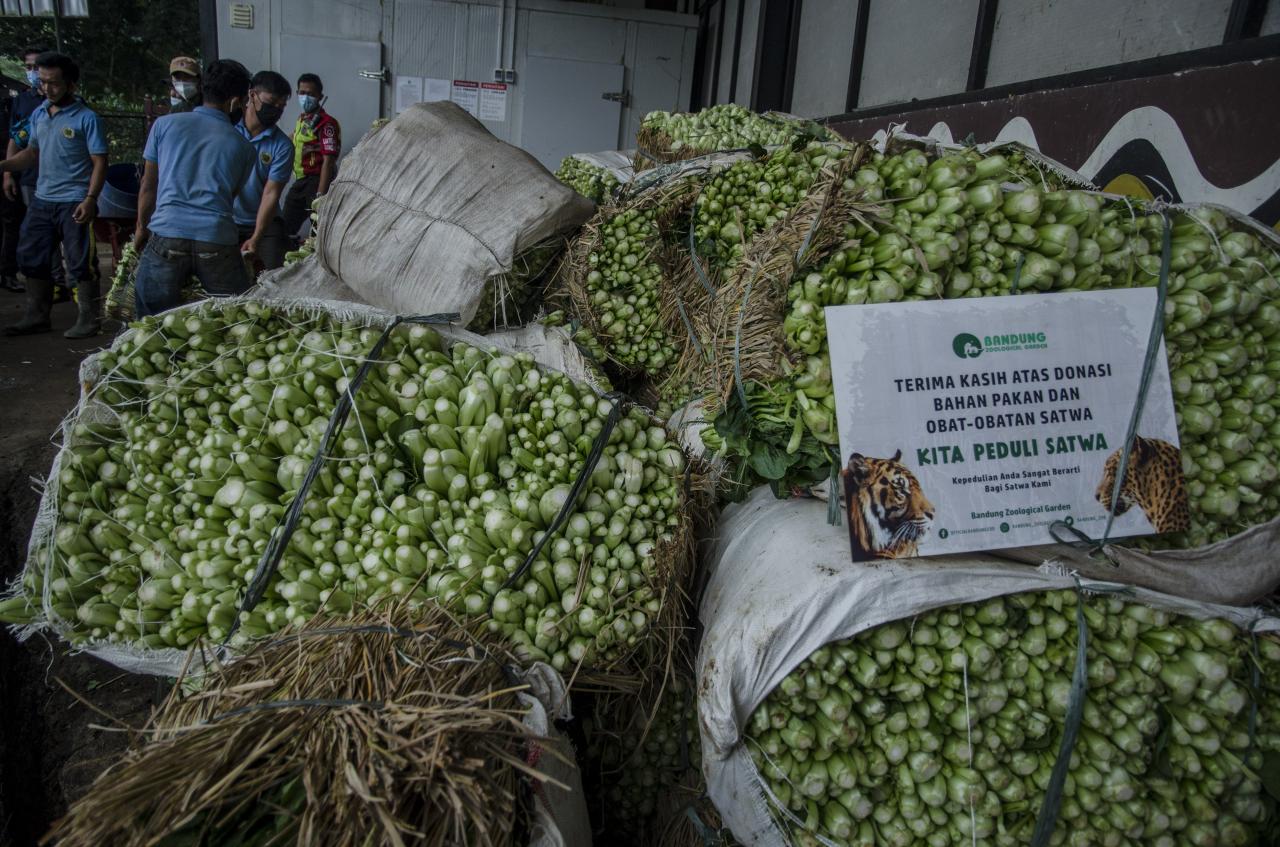 Bantuan Makanan Untuk...
