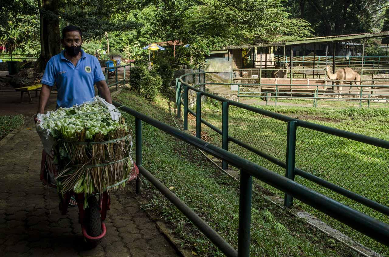 Bantuan Makanan Untuk...