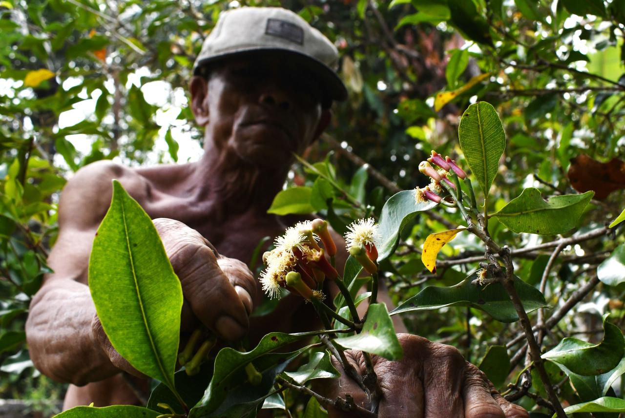 Produksi Menurun, Harga...