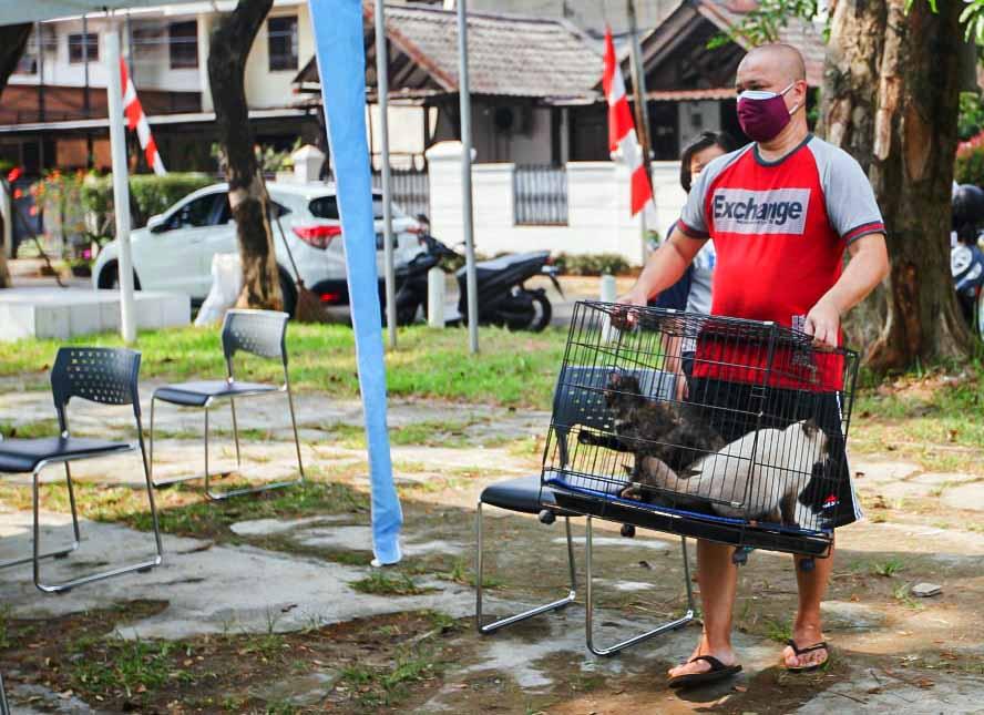 Vaksin Rabies Gratis...