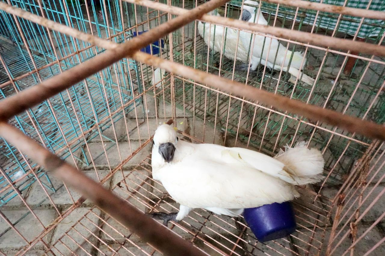Penggagalan Penyelundupan...