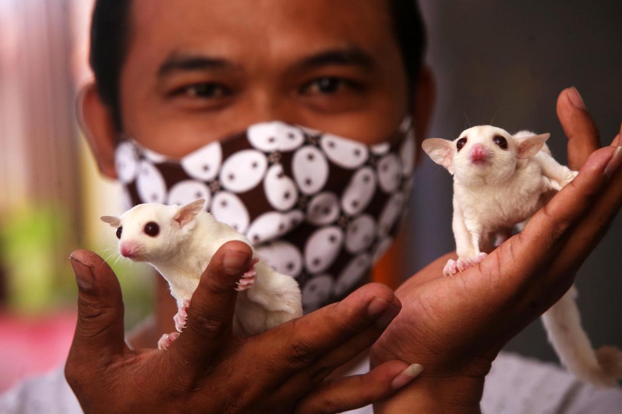 Cari Penghasilan Tambahan,...