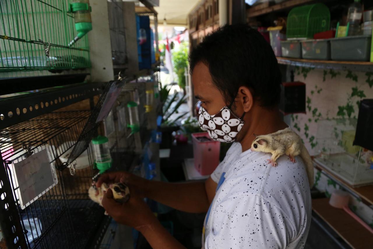 Cari Penghasilan Tambahan,...
