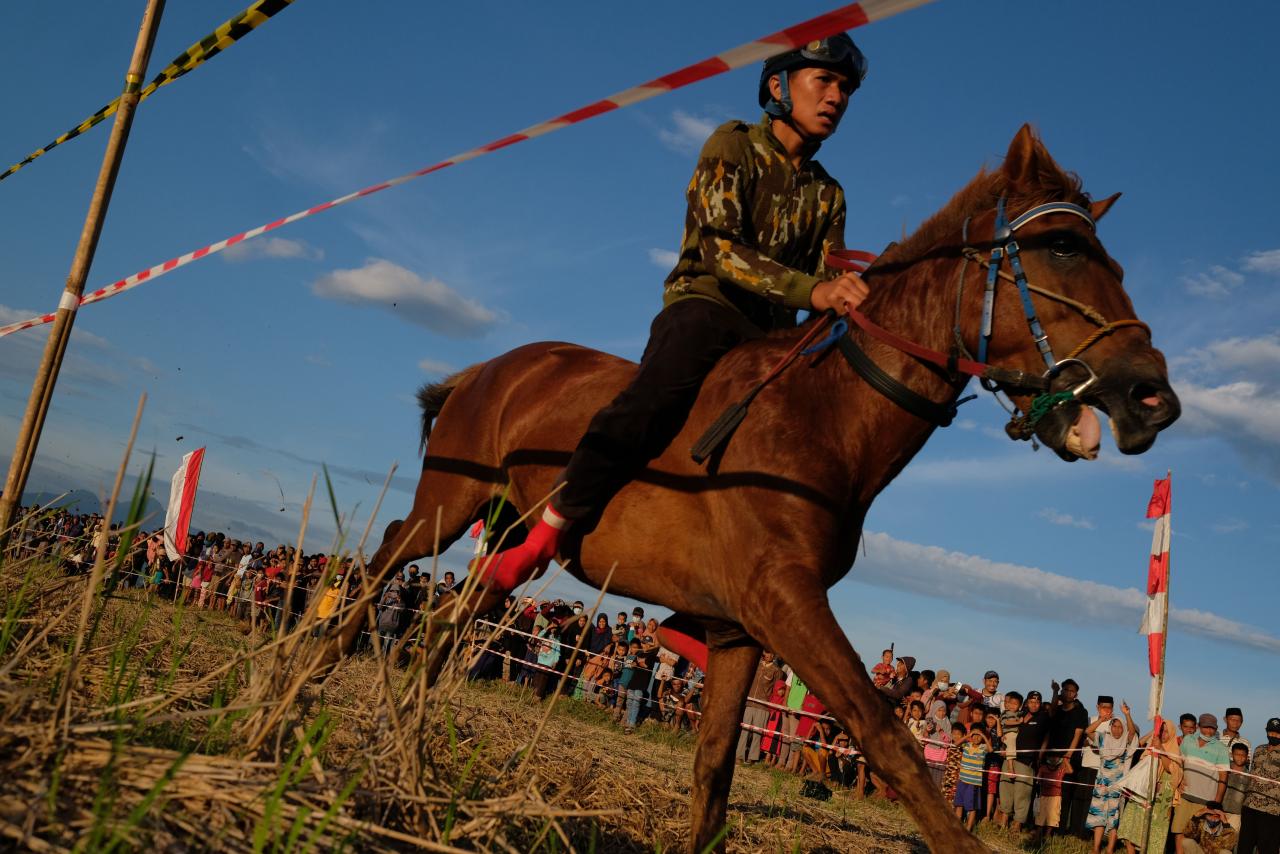 Balap Kuda Tradisional...