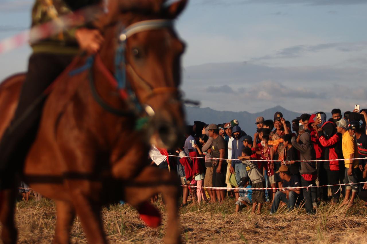 Balap Kuda Tradisional...