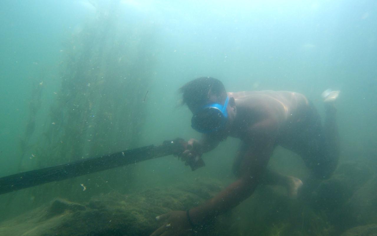 Pemanah Ikan di Danau...