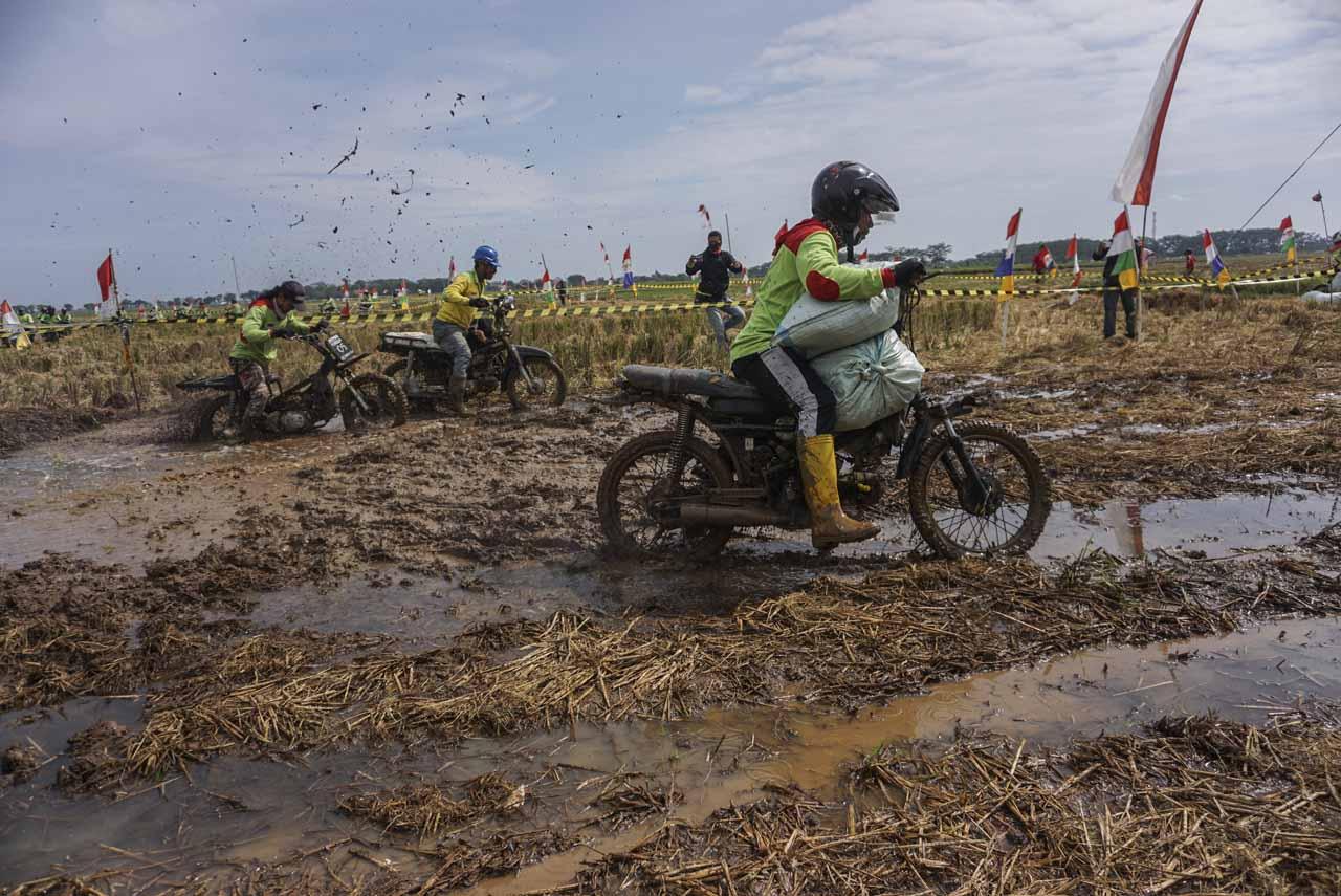Bak Balap Motor Cross...