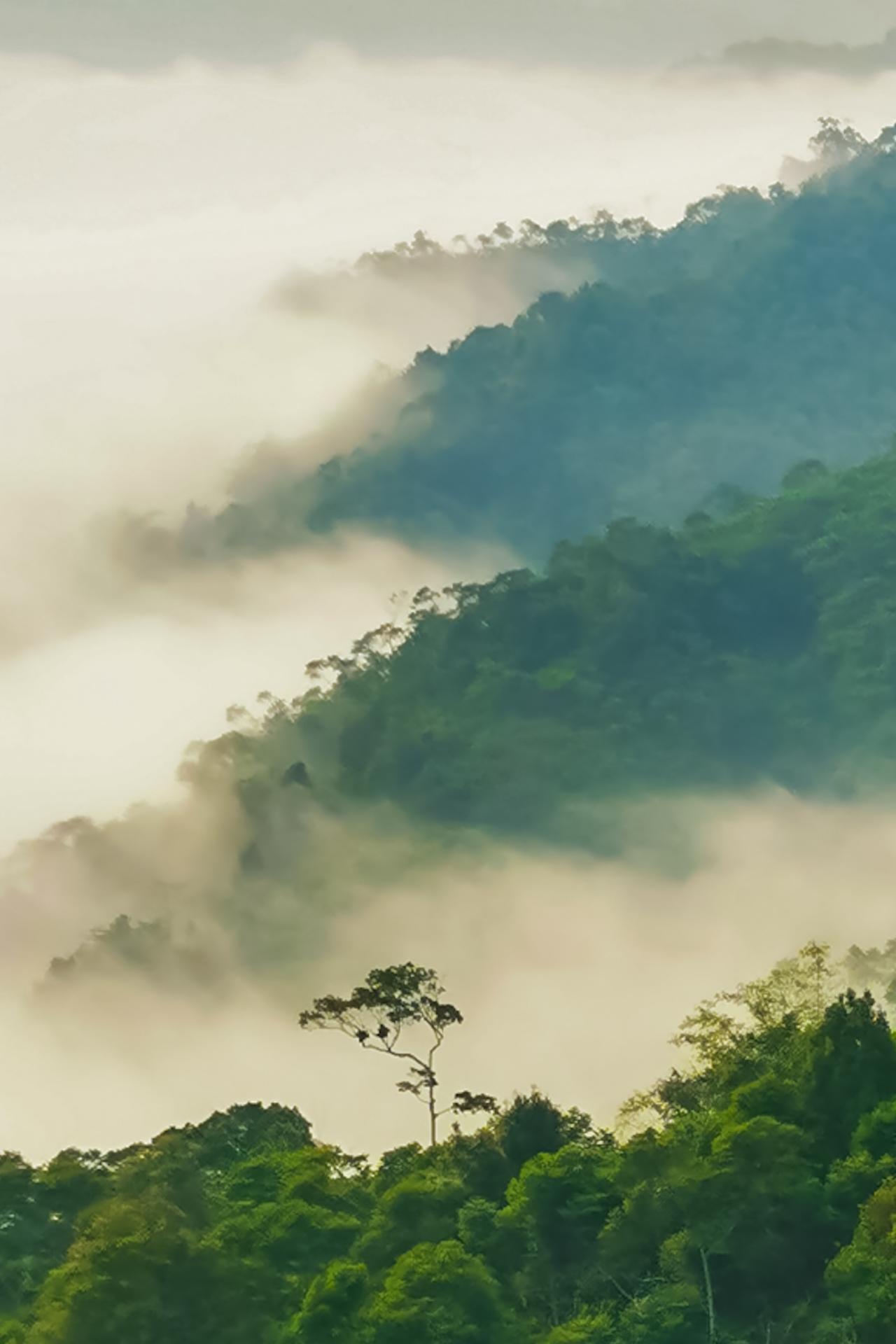 Berwisata ke Negeri...