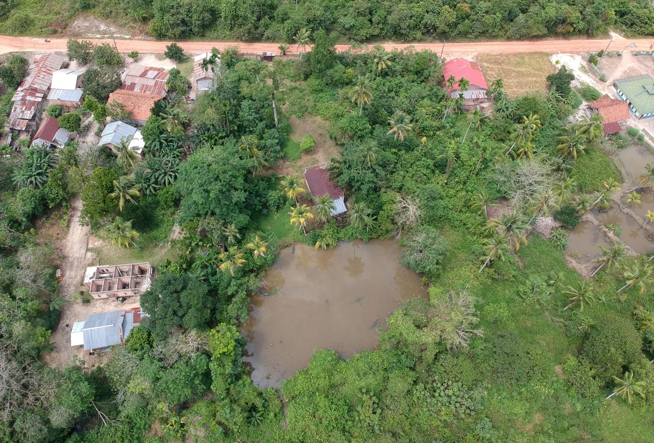 Penangkaran Buaya Terbengkalai...
