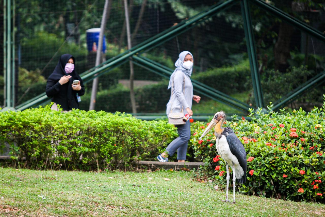 Wahana Taman Burung...