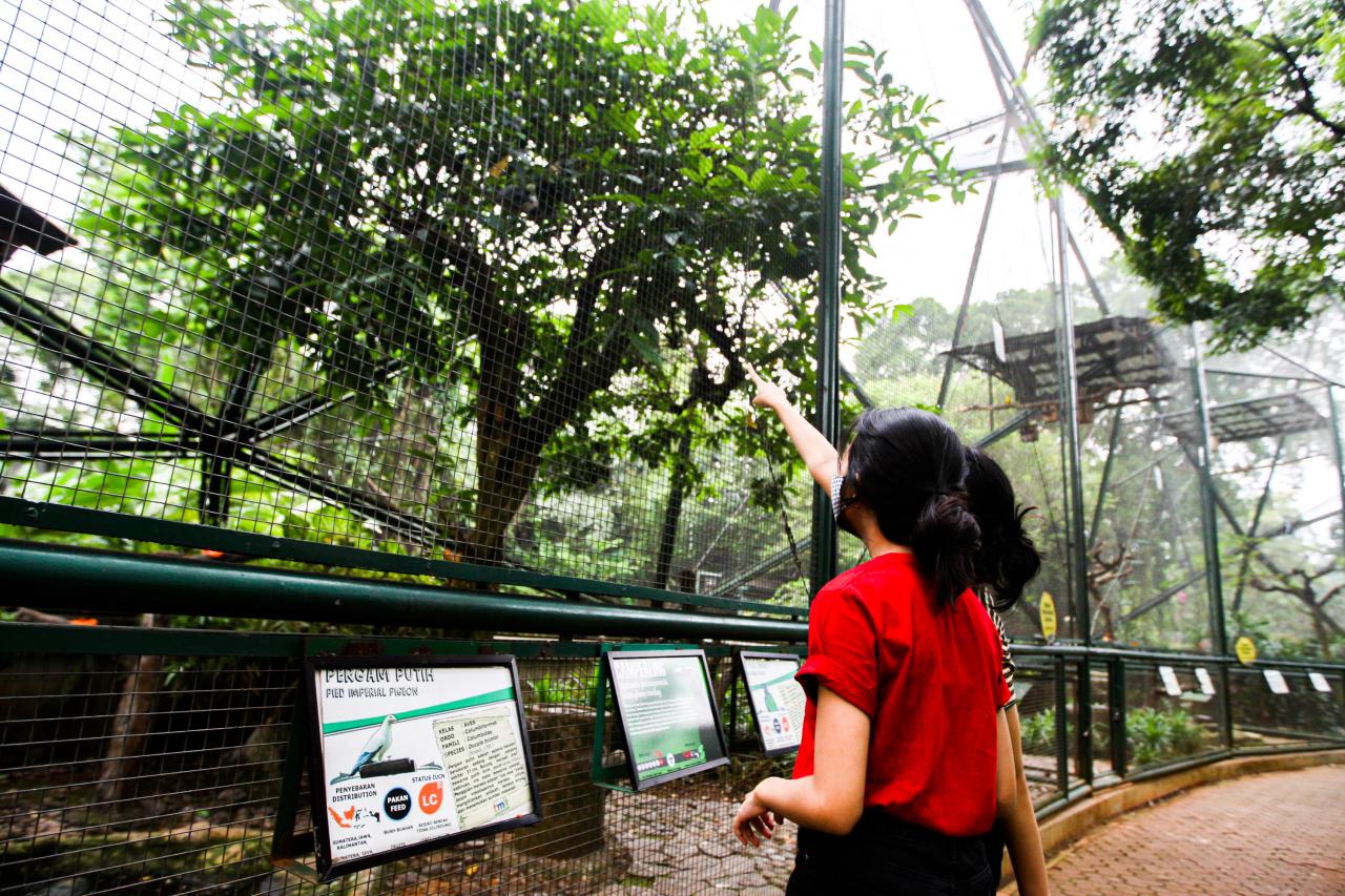 Wahana Taman Burung...