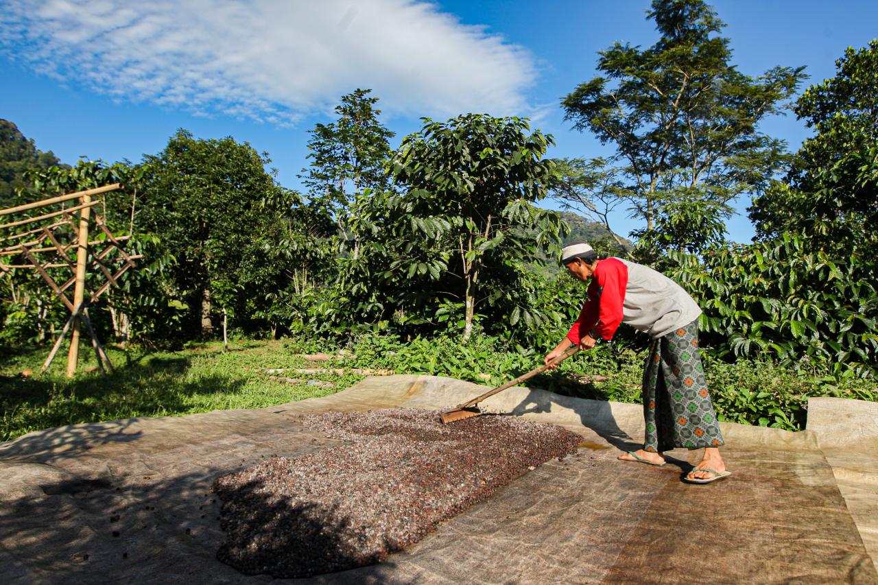 Menikmati Aroma Kopi...