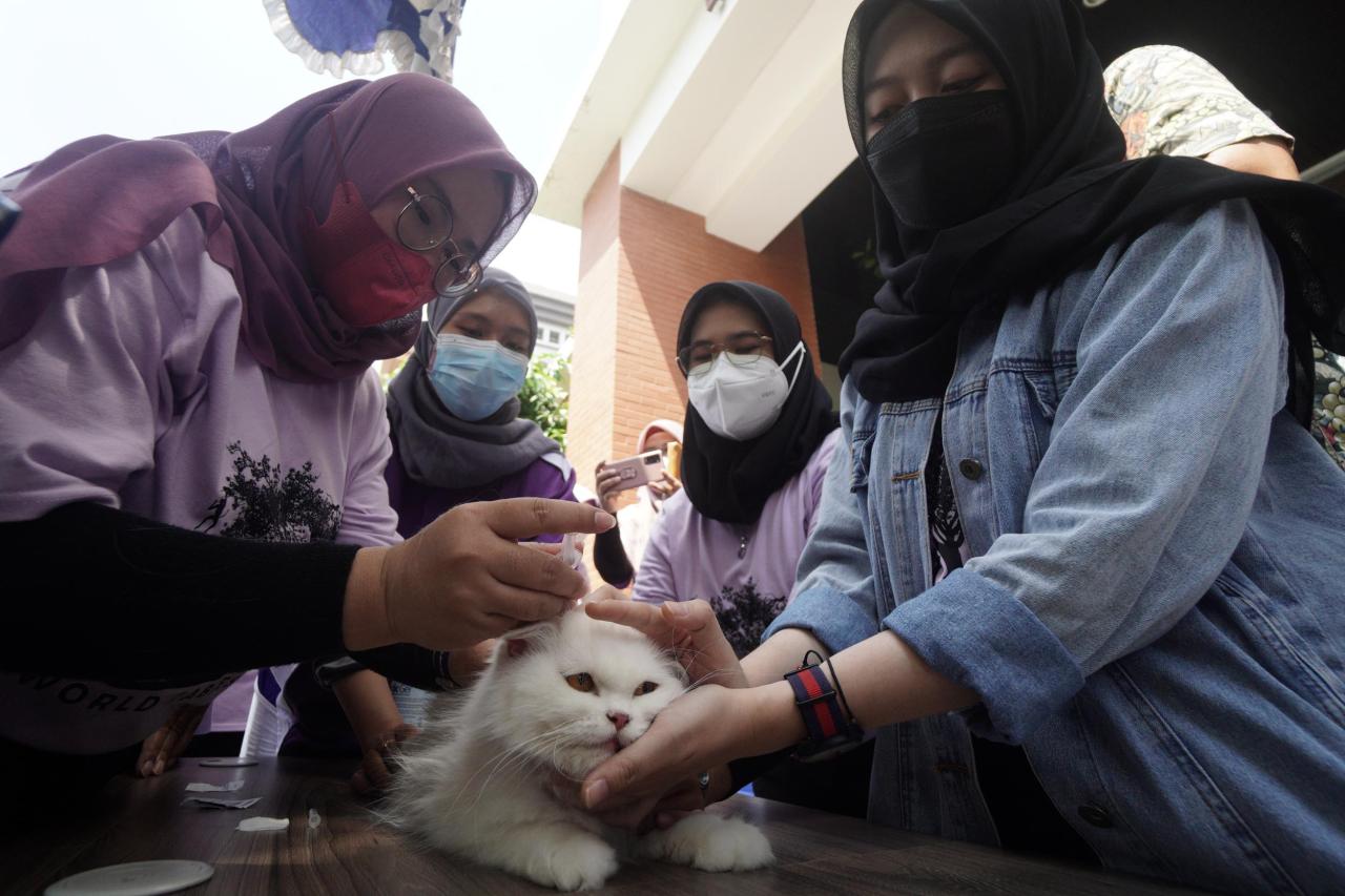 Menggemaskan, Begini...