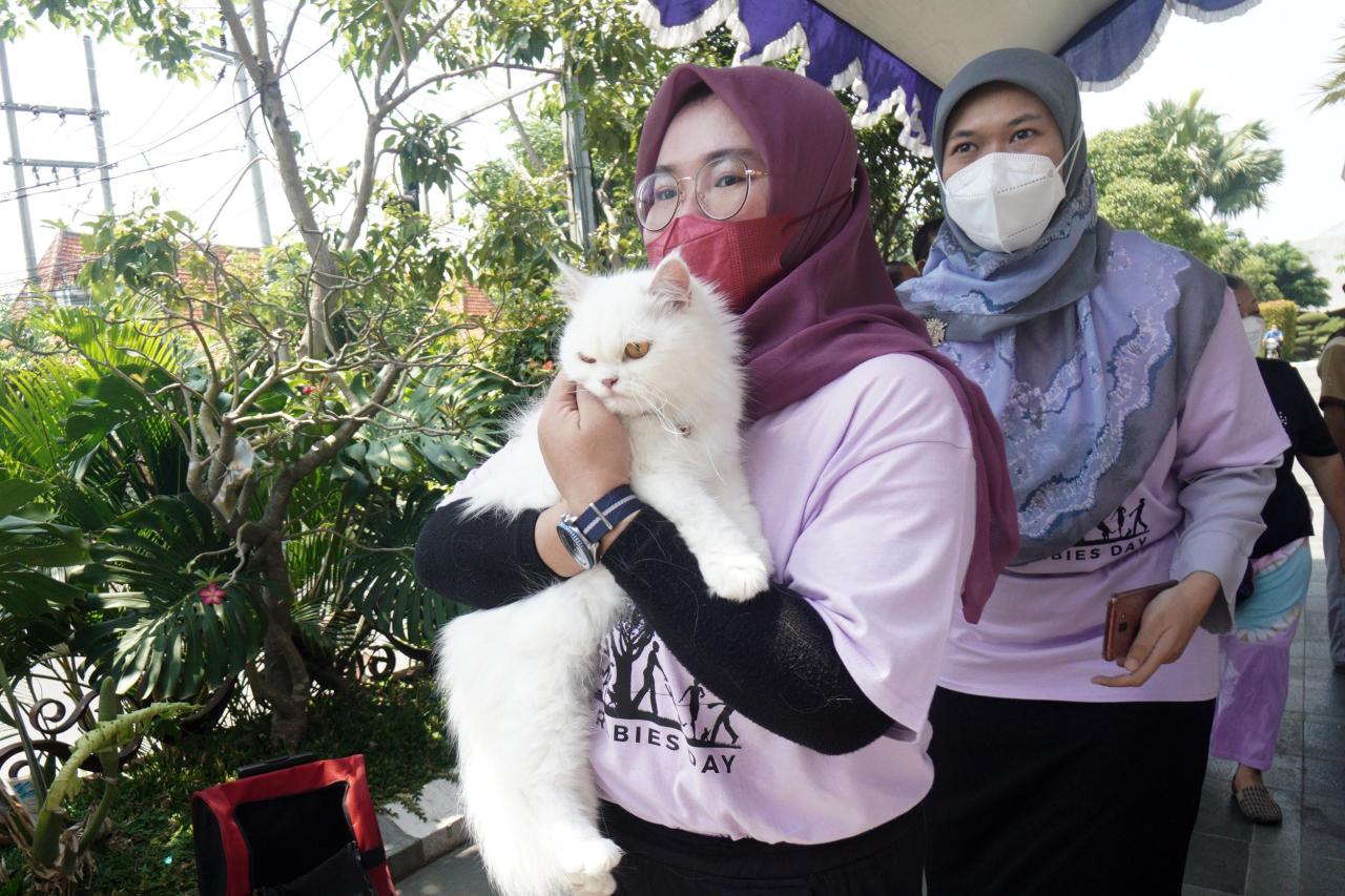 Menggemaskan, Begini...