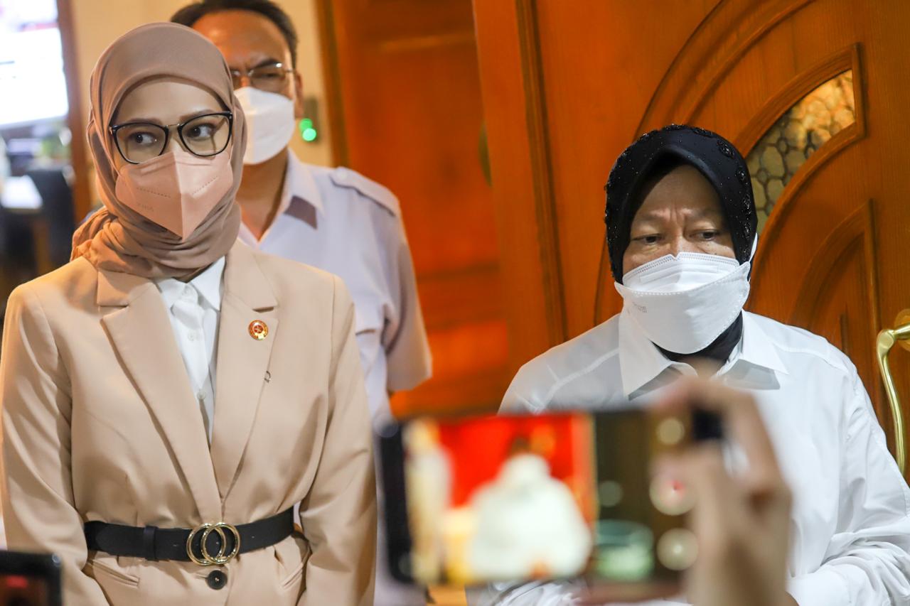 Staf Khusus Presiden...