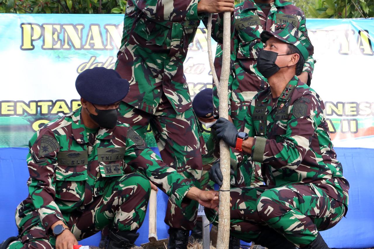 Pohon Tabebuya Ditanam...