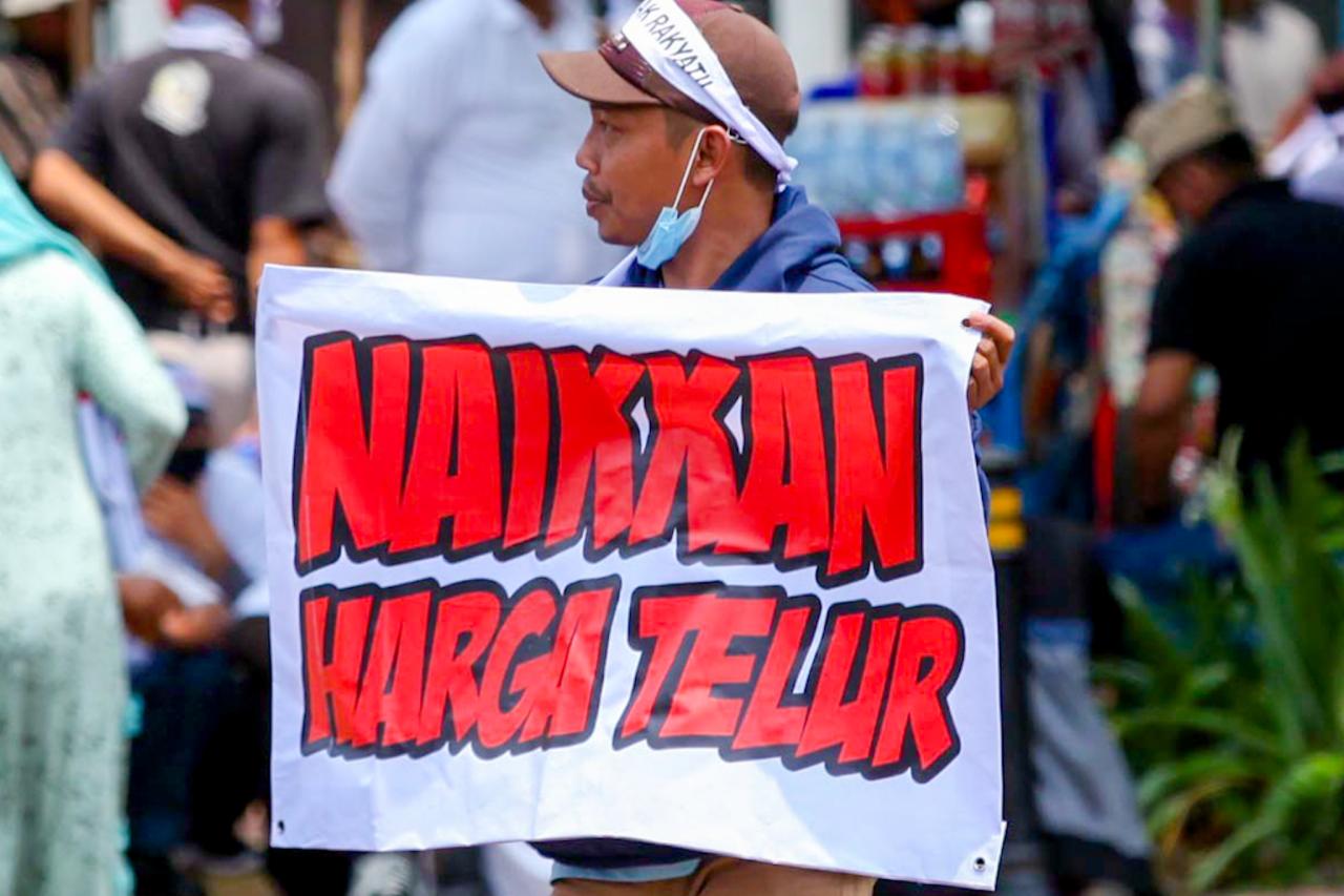 Jeritan Ratusan Peternak...