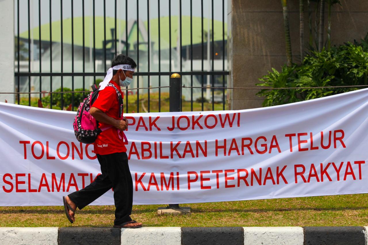 Jeritan Ratusan Peternak...