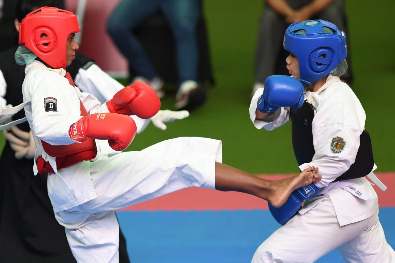 Semifinal Shorinji Kempi...