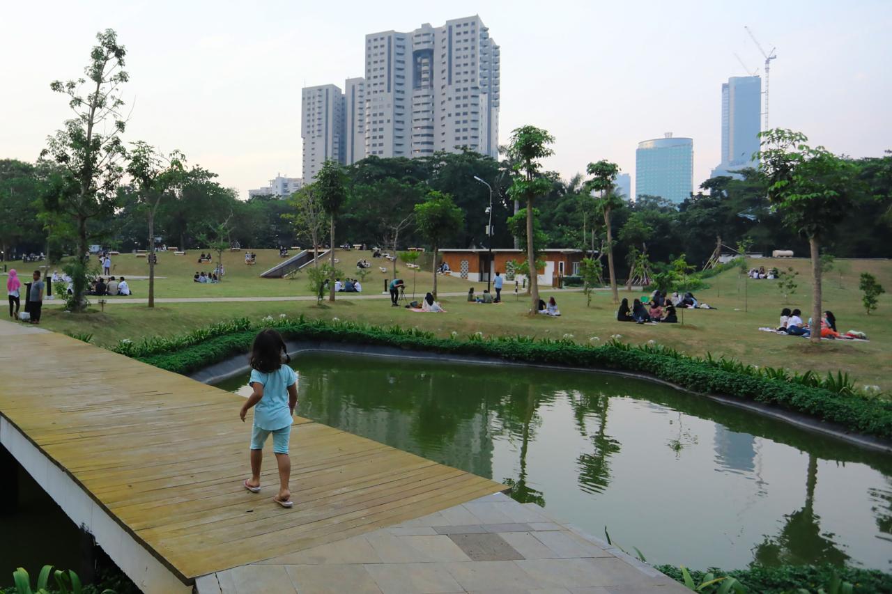 Hutan Kota GBK Kembali...