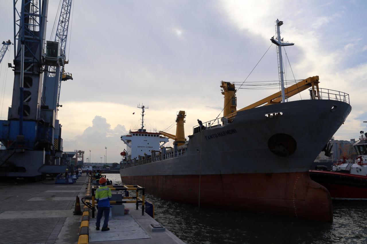 Perkuatan Struktur Dermaga...