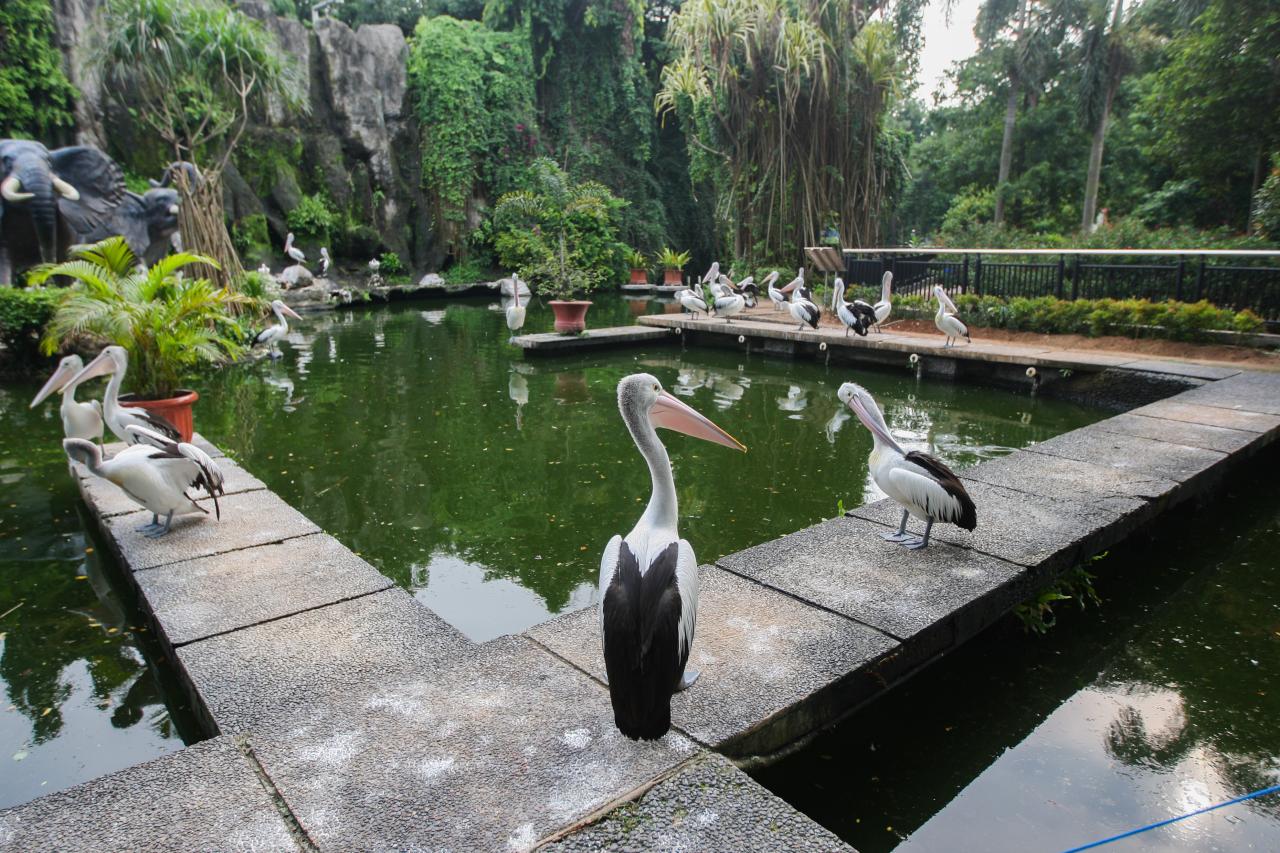 Taman Margasatwa Ragunan...