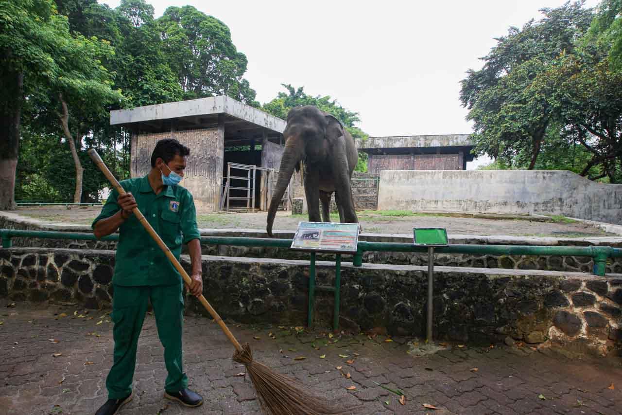 Taman Margasatwa Ragunan...
