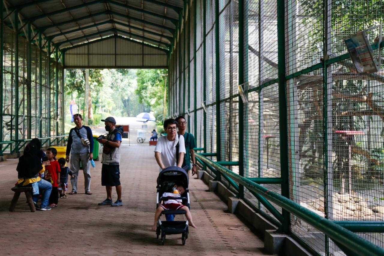Kembali Dibuka, Anak...