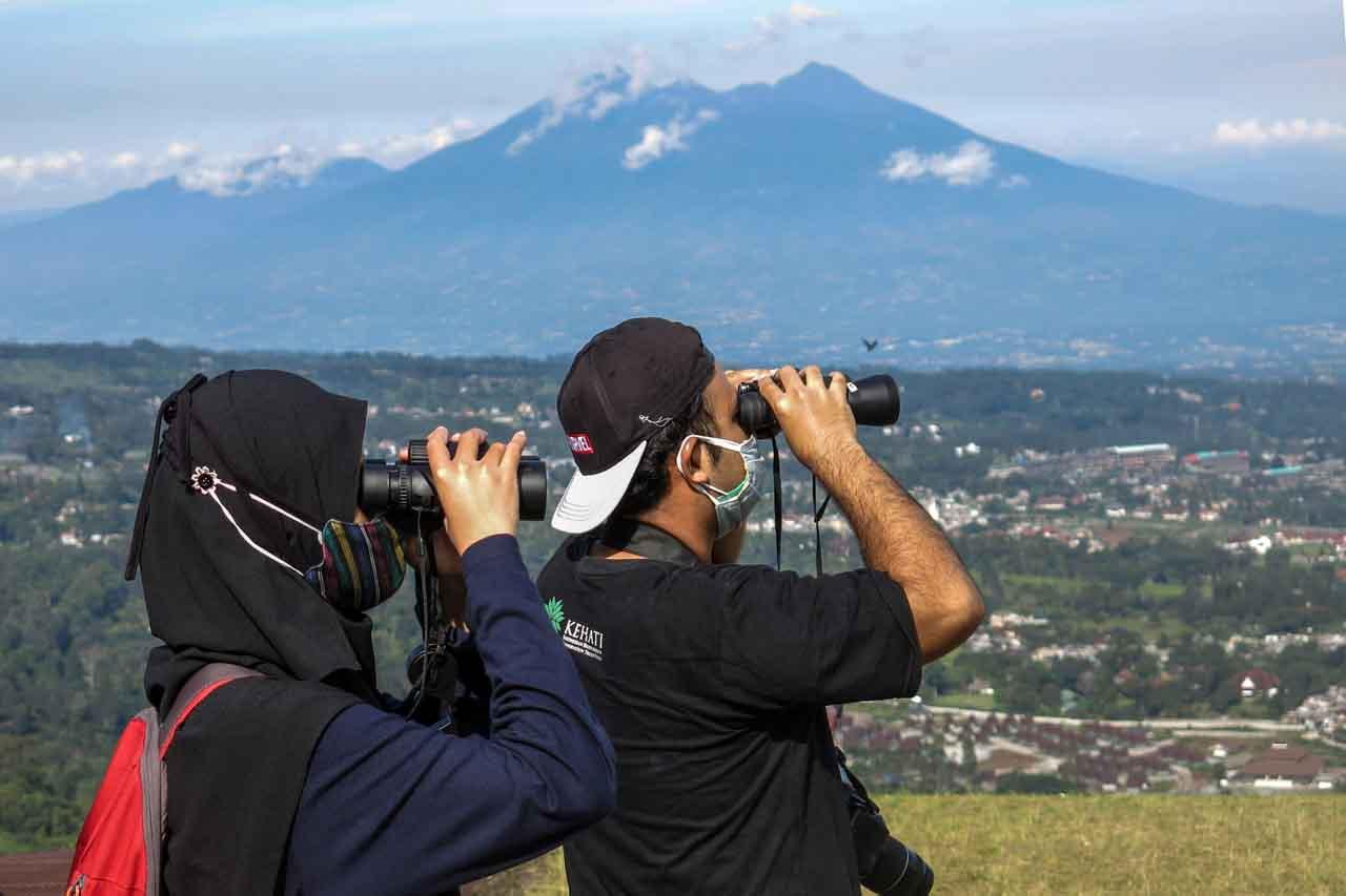 Pengamatan Migrasi Burung...